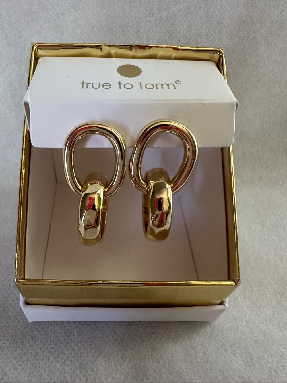 True to Form Gold Double Loop Hoop Earrings